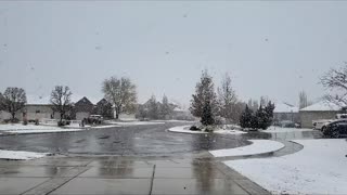 Slow-Mo Snow