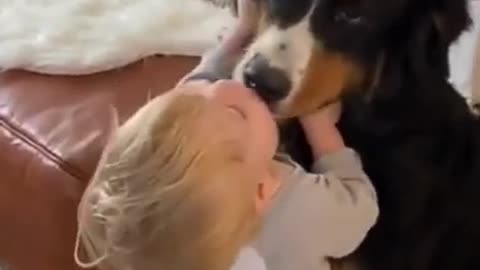 Baby play with dog😳😘❤️little baby enjoy with dog😳😘❤️