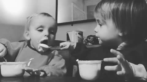 Cute twins feed each other
