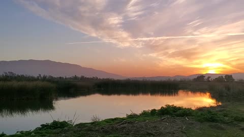 Morning In the wetlands