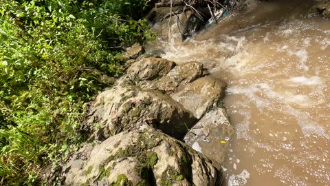 A Walk in The River/Una Caminata en el Rio (Andahuaylas, Peru)