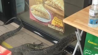 Huge Lizard Tries to Enter Convenience Store