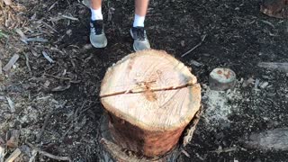 Splitting Firewood the Right Way