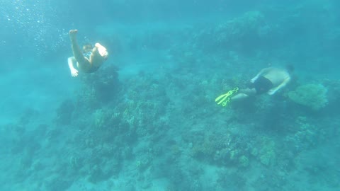 Free Diving in Lanai Hawaii with AnnaKate