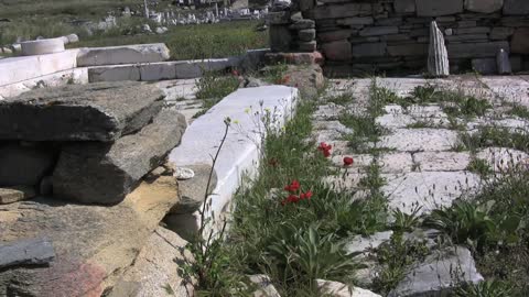 Delos stone ruins with poppies