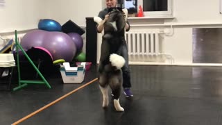Sweet Dog Learns Dance Steps