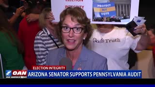 Ariz. senator supports Pa. election audit