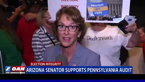 Ariz. senator supports Pa. election audit