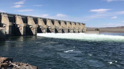 Spilling water at a Columbia River Dam