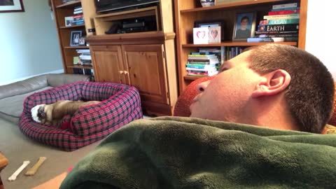 Dog Has A Loud Reaction When His Couch Privileges Are Denied
