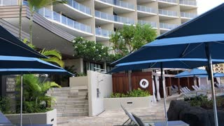 Morning tropical breeze, poolside, Ritz Carlton Waikiki