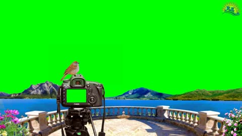 balcony green screen video For Free
