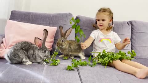 Adorable_Baby_Girl_Feeding_Rabbits