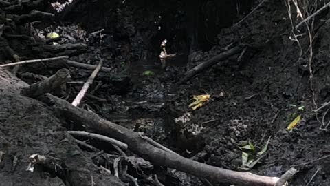 Natural water spring