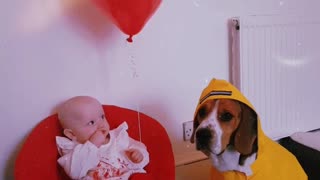 Dog and Baby