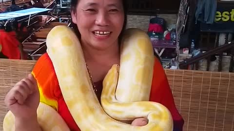 The big snake in Thailand