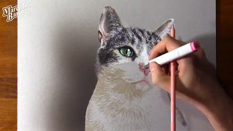 Draw The Kitten's Eyes With A Green Marker
