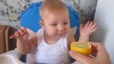 Baby Eats Lemon For First Time | Baby Weird Reaction On Lemon Taste