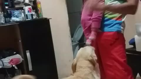 baby plays with your dog