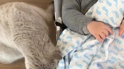When you desperately want to be pet but your baby brother just doesn't want to wake up