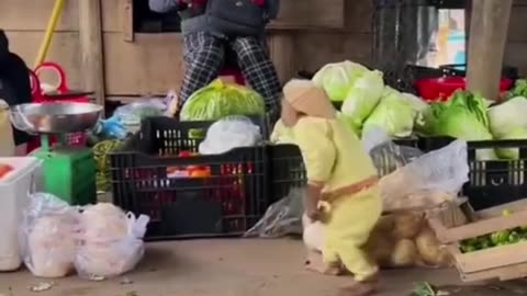 Monkey vegetables shopping 🛍