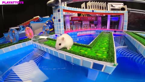 MEGA HAMSTER RACE 🐹 maze with Traps hamster🐹 Minecraft Maze😱[OBSTACLE COURSE]