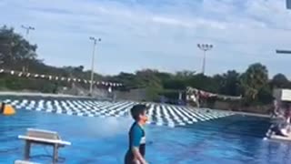 Guy black white shorts diving board belly flop