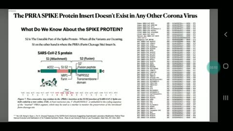 Spike protein and your body