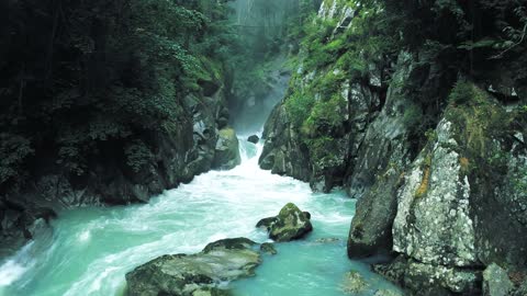 Streaming Water from Rainforest