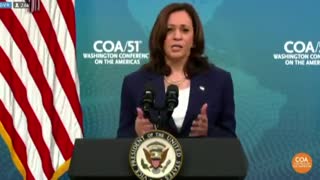 Kamala Points Finger at Climate When Cornered About Biden Border Crisis