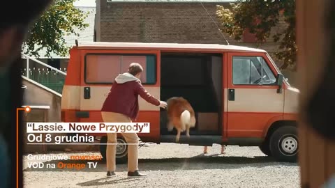 Grudzień z dobrym kinem w Orange VOD