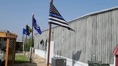 My flags 4