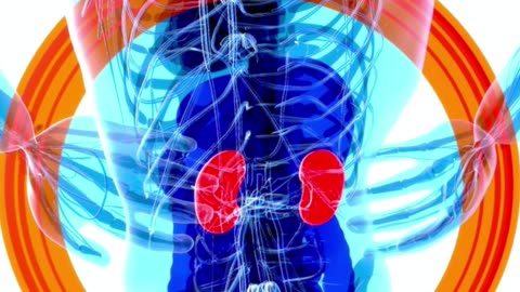 Home Remedies for Nephrotic Syndrome