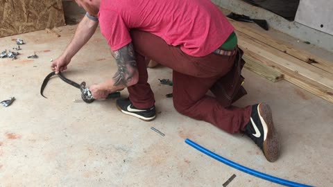 Rescuing a King Snake From Duct Tape