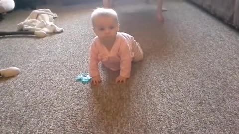 Haley crawling