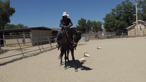 Tara Teen yr old Ahkal-Teke Mare Get on and Ride