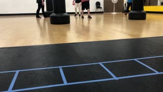 Kick training at the zoo: https://zoogym.com/