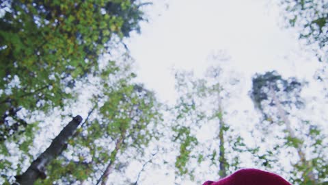 Boy Spinning in the Forest