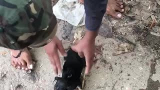 Kind Men Rescue A Drowning Puppy