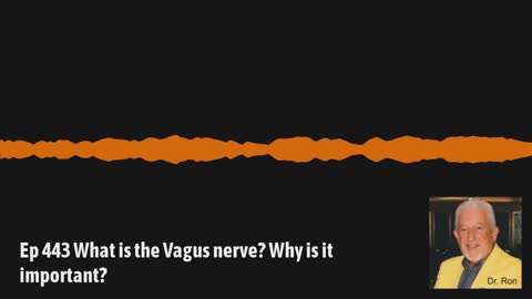 Ep 443 What is the Vagus nerve? Why is it important?