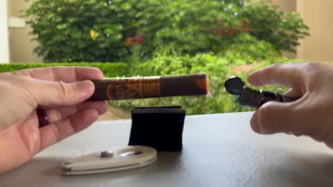 Olivia Serie V Melanio Maduro - Cigar Memoir #10