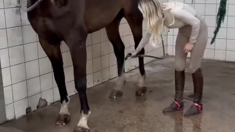 Time for a bath 🛁🐴 #equestrian #horse #horselover #horseriding