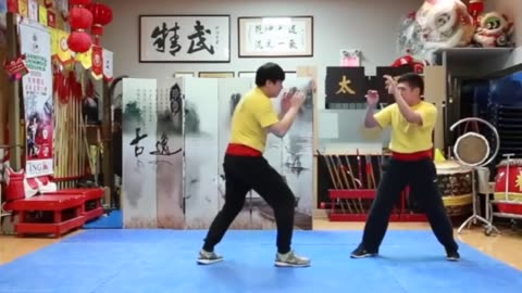 FAKE vs REAL Kung Fu... Exposed!