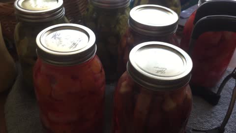 Pickled on Labor day