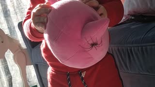 Kiddo is Oblivious to Big Spider on Stuffed Toy