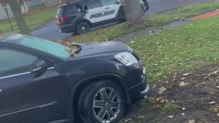 Neighbor Calls Cops on Barbie Car