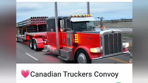 Never Surrender Canadian Trucker Convoy Our Heroes
