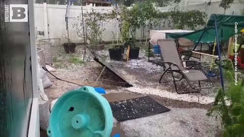 Florida Family Shocked to See Hail Stones Turning Their Backyard White