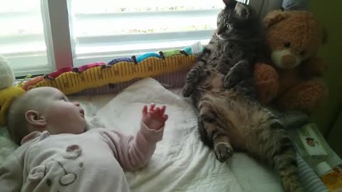 Confused cat not sure how to handle baby