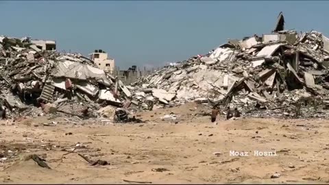 STRISCIA DI GAZA. SENZA COMMENTI